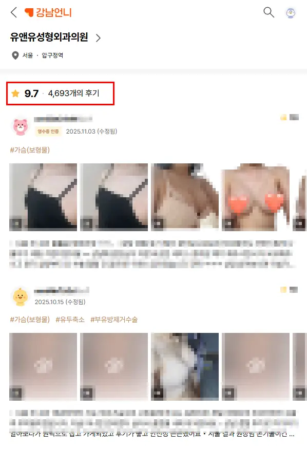 隆乳評價，寫給只想找條件相近的人的評價的您〈來自 20 年研究經驗的建議〉 — 內文圖片 1