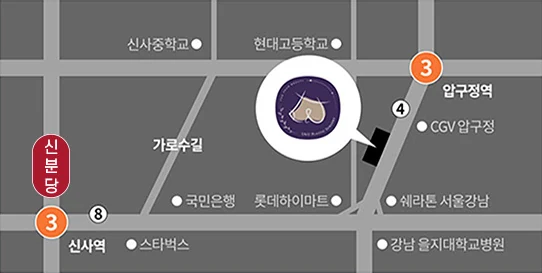 U&U整形外科診所位置圖—狎鷗亭站·新沙站附近林蔭大道