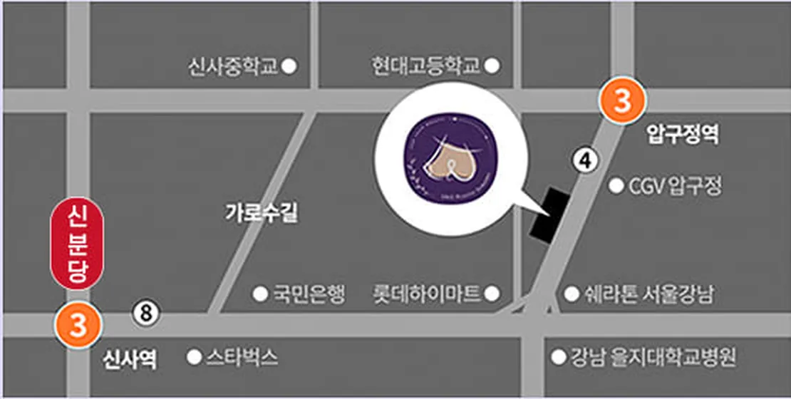 U&U整形外科診所位置圖—狎鷗亭站·新沙站附近林蔭大道